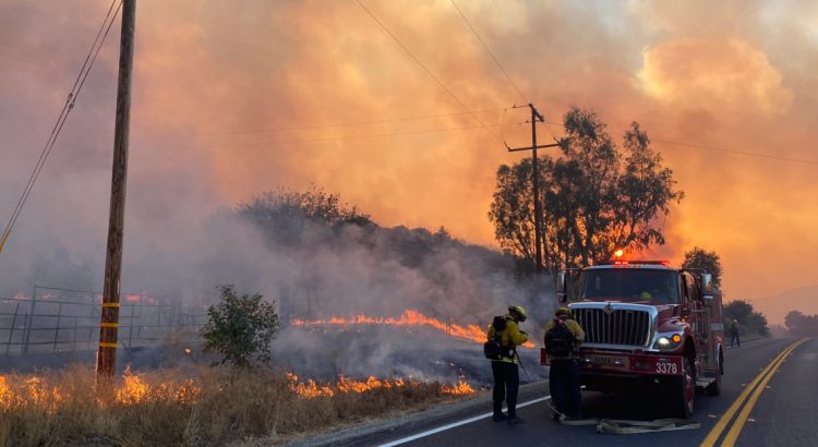 Incendios forestales en Los Ángeles y San Diego, amenazan a Tecate, México