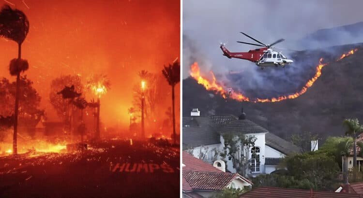 Incendios en Los Ángeles dejan 24 muertos y miles de desplazados