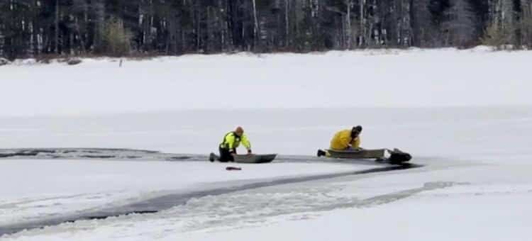 Rescatan a alce de lago congelado en Nueva York