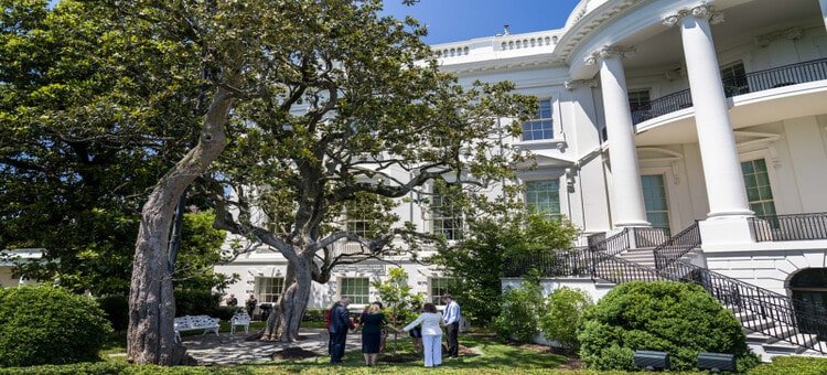 La Casa Blanca retirará de su jardín un árbol de 200 años