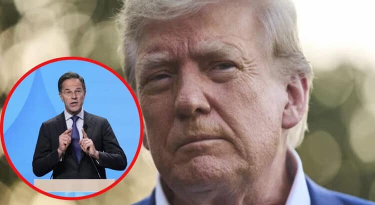 “Querido Donald”: Trump pública la felicitación que recibió del jefe de la OTAN, Mark Rutte
