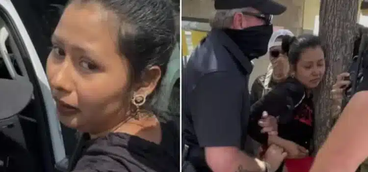 Vendedora hispana se aferra a un árbol para evitar ser arrestada por ICE en Los Ángeles