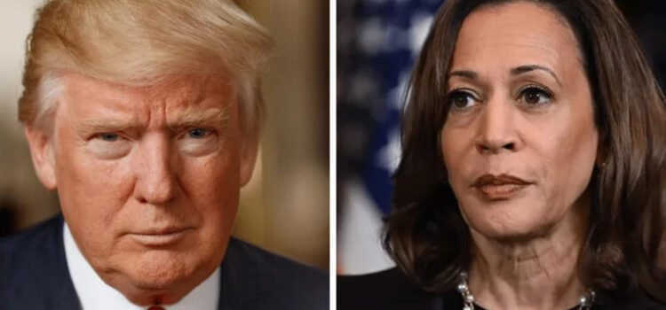 Trump retira protección del servicio secreto a Kamala Harris