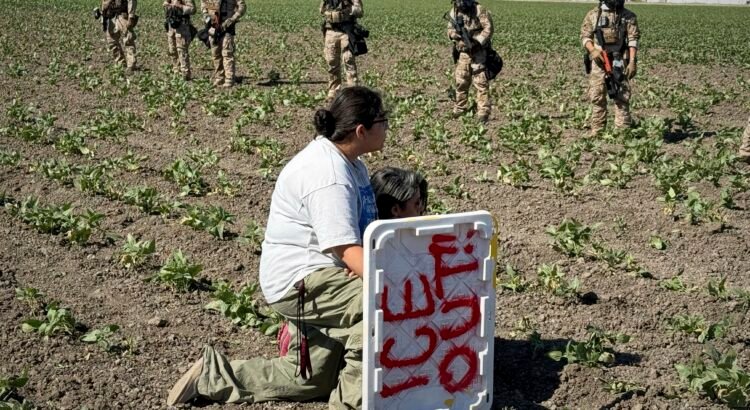 Estudio revela el impacto de las redadas migratorias en la fuerza laboral de California