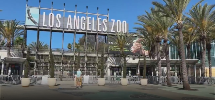 El Zoológico de Los Ángeles inaugura una nueva estación de seguimiento de vida silvestre