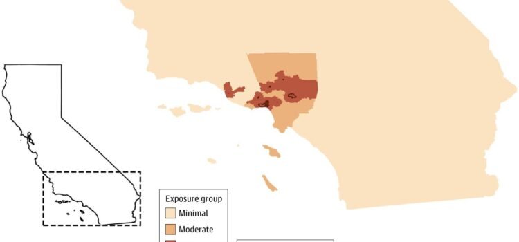 Los incendios forestales de Los Ángeles provocaron más visitas médicas virtuales