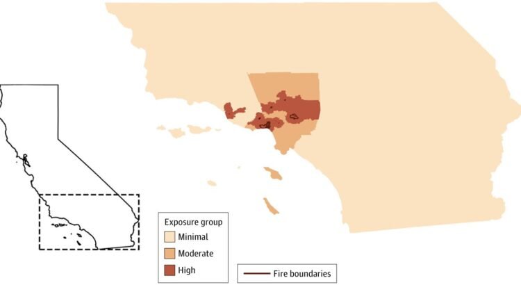 Los incendios forestales de Los Ángeles provocaron más visitas médicas virtuales